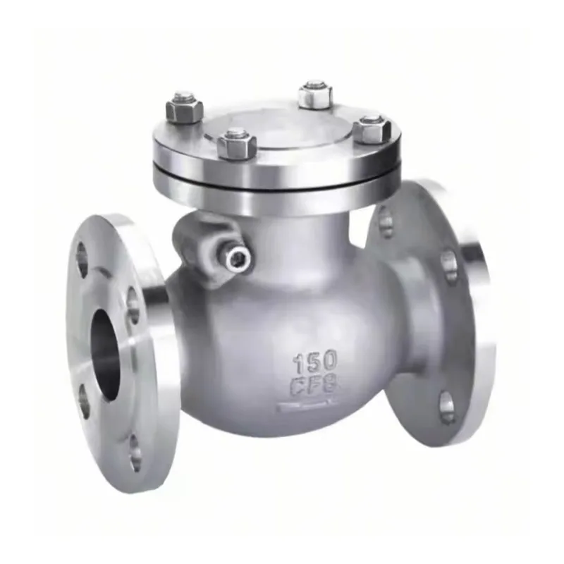 Hindi kinakalawang na Steel Check Valve