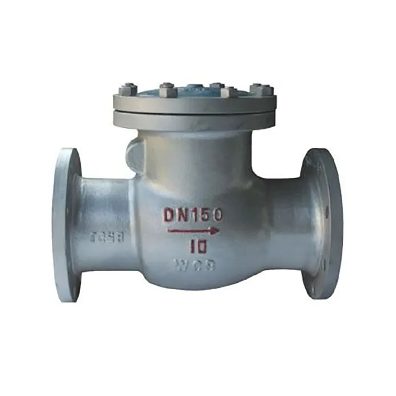 Swing Check Valve